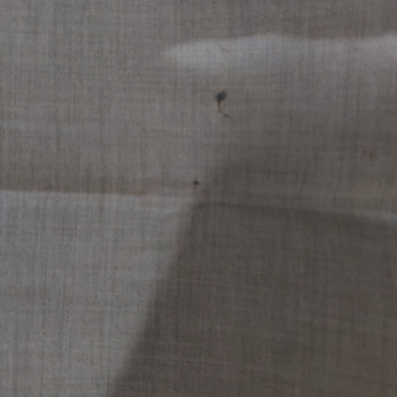 Neiman Marcus Exclusive Summer Wool Slacks - Picture 5 of 7
